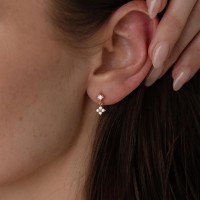 Exquisite four-leaf clover earrings | Silver-plated/gold-plated diamond stud earrings